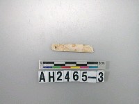 藏品(玉墜殘件)的圖片